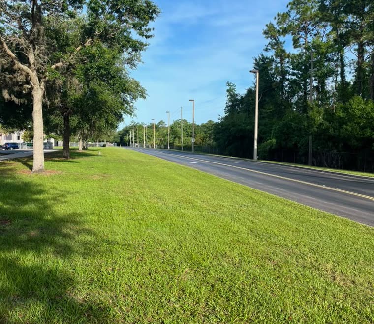 Freshly mowed roadside median in Orlando